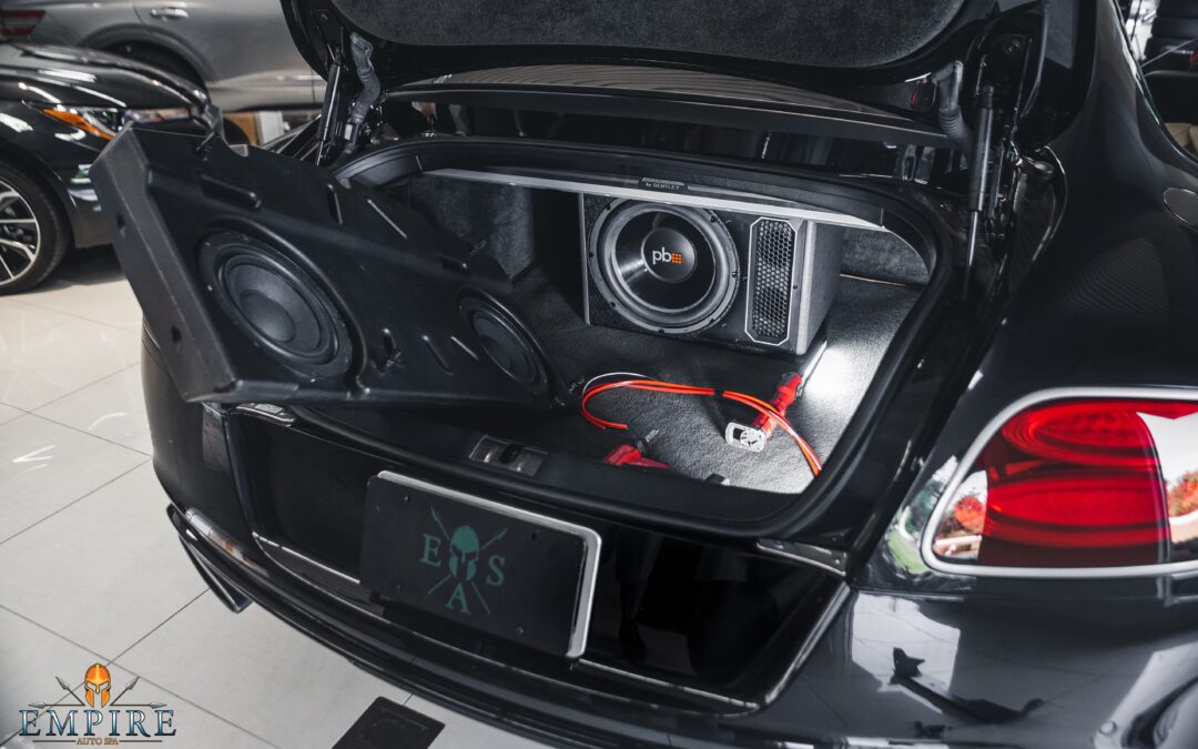 Empire Auto Spa technician showcasing a range of subwoofers, emphasizing their role in enhancing car audio bass.